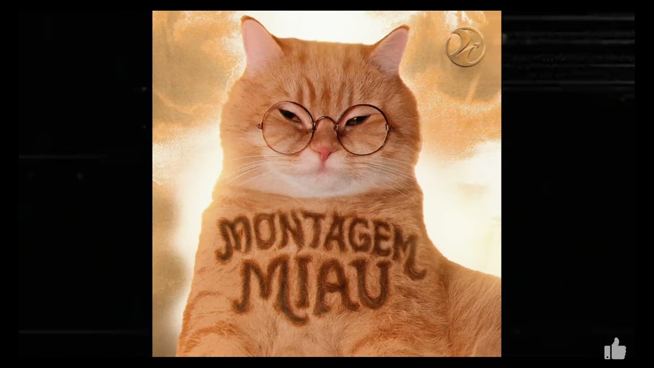 Ami gatito funk