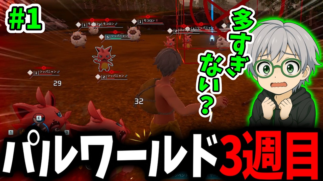 正式リリースに向けて3週目やります！part1【パルワールド】