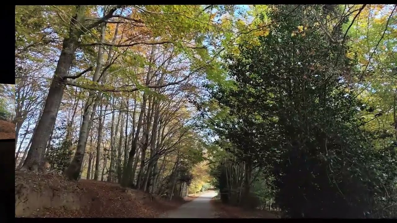 Un paseo por el Montseny 1ª parte