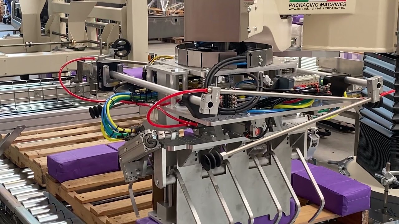 Pallettizzatore Winner 800 Sacchi e Fardelli / palletizer Winner 800 Bags and Bundles