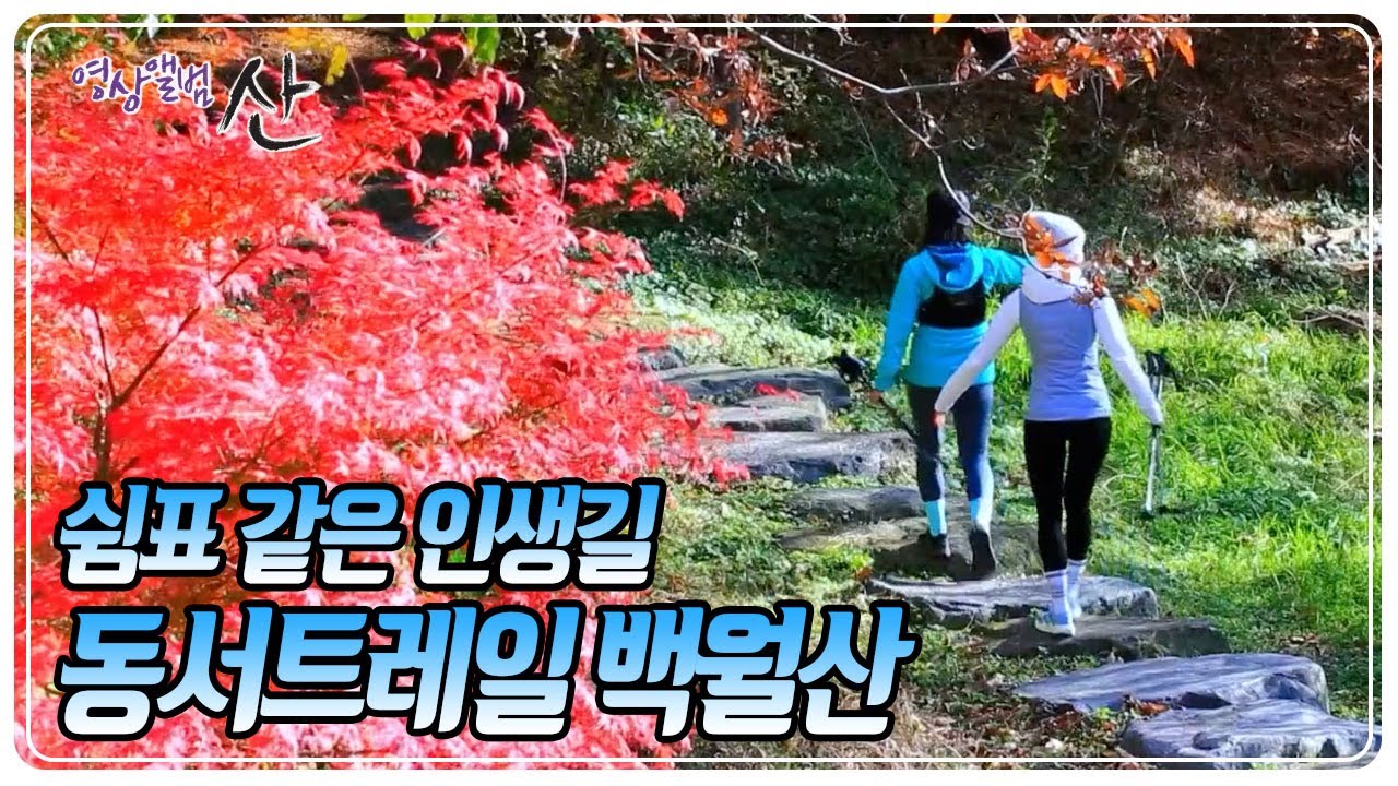 충남 태안군 안면도에서 경북 울진군 망양정까지! 한반도 동서를 가로지르는 총 849km, 55개 구간! 동서트레일 백월산 [영상앨범 산] KBS 251214 방송