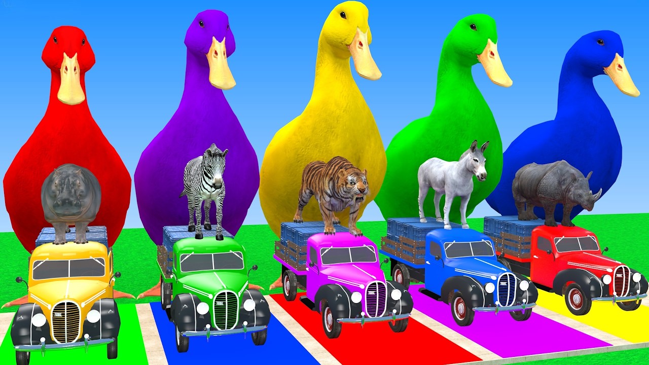 Long Slide Game With Cow Elephant Gorilla Hippopotamus Tiger 3d Animal Game Funny 3d Animals