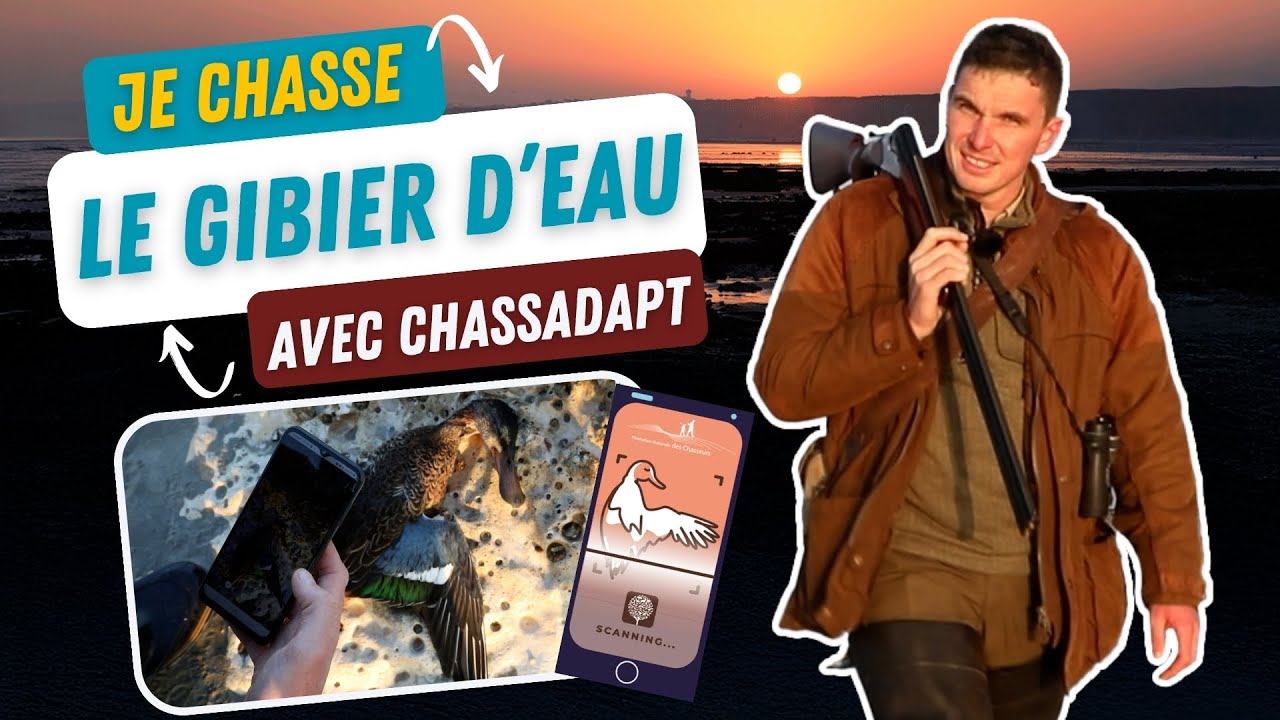 Je chasse le gibier d'eau avec ChassAdapt !