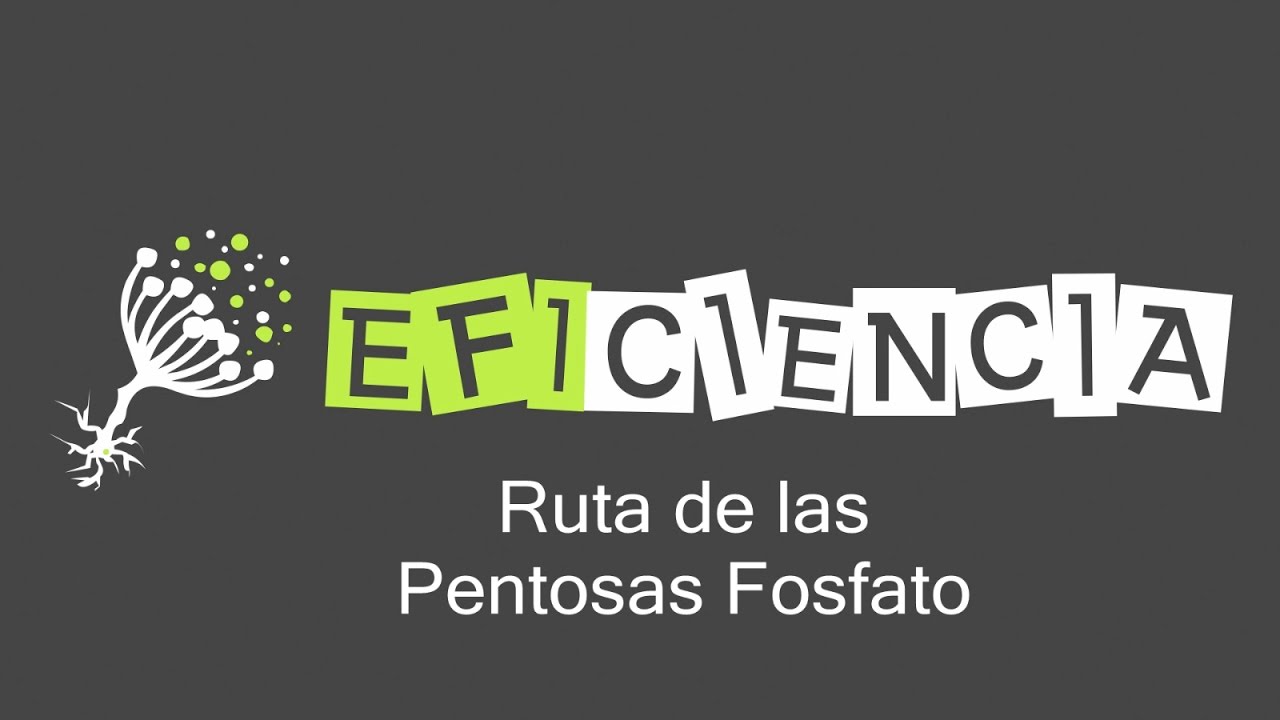 RUTA DE LAS PENTOSAS FOSFATO - Eficiencia (Metabolismo)