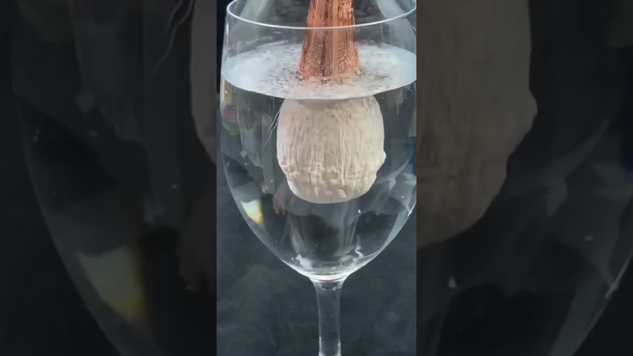 magical powder 😱🔥💯#shorts #explore #trending #viral #magic #magical #powder #pihu #mehu #op