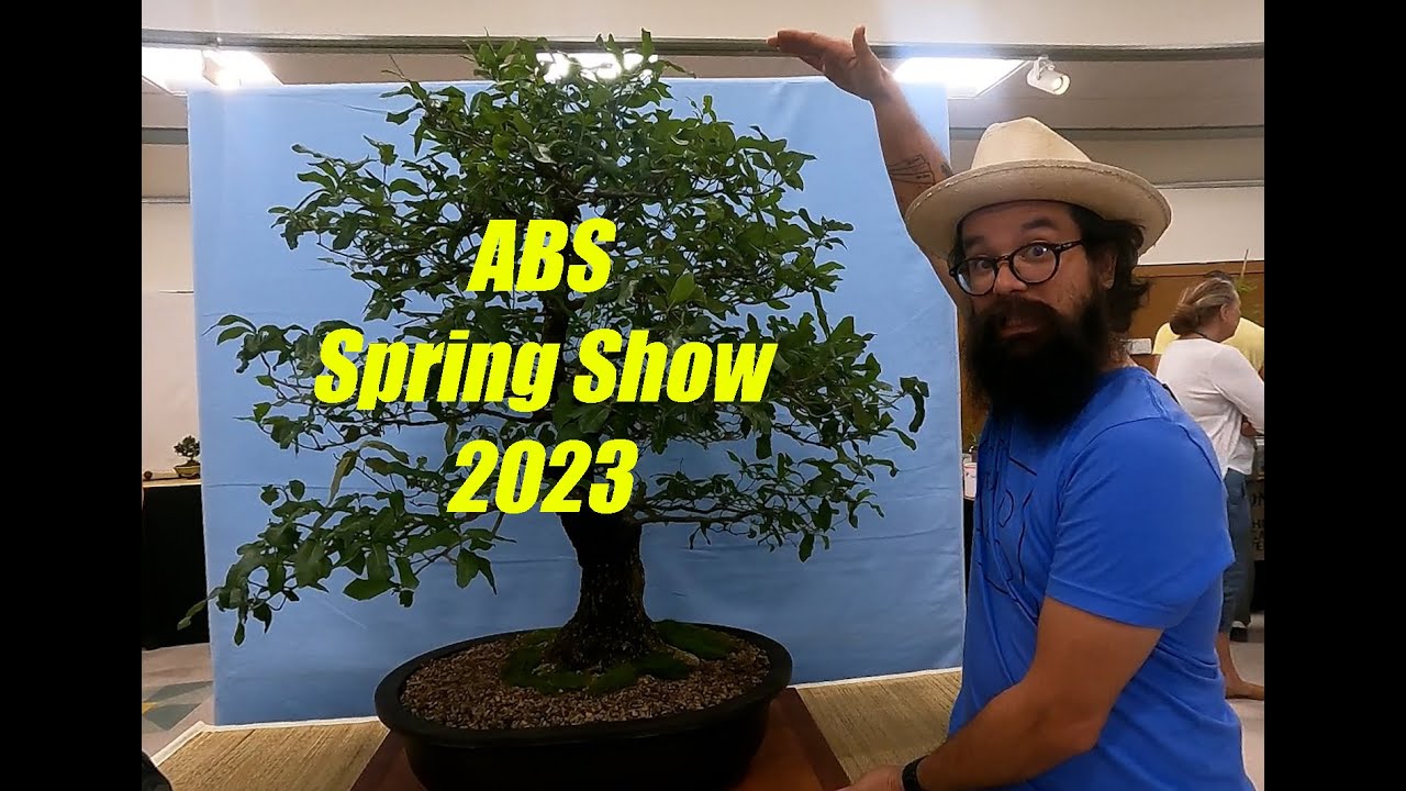 Austin Bonsai Society Spring Show - Bonsai-YEAH!