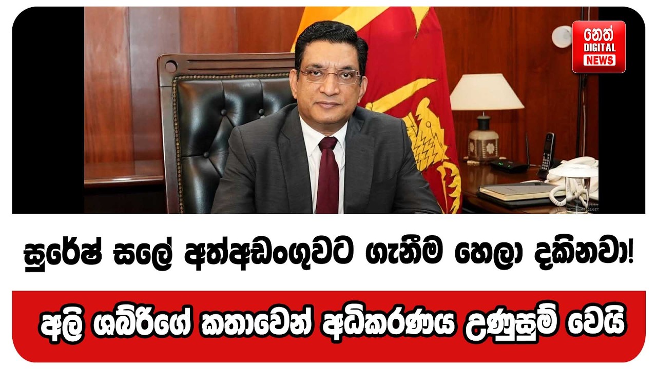 සුරේෂ් සලේ අත්අඩංගුවට ගැනීම හෙලා දකිනවා ! අලි ශබ්රිගේ කතාවේ අධිකරණය උණුසුම් වෙයි