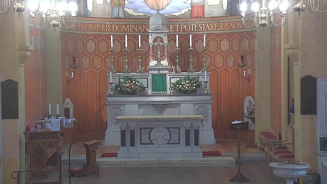 14/2 Holy Mass 9:30 am.