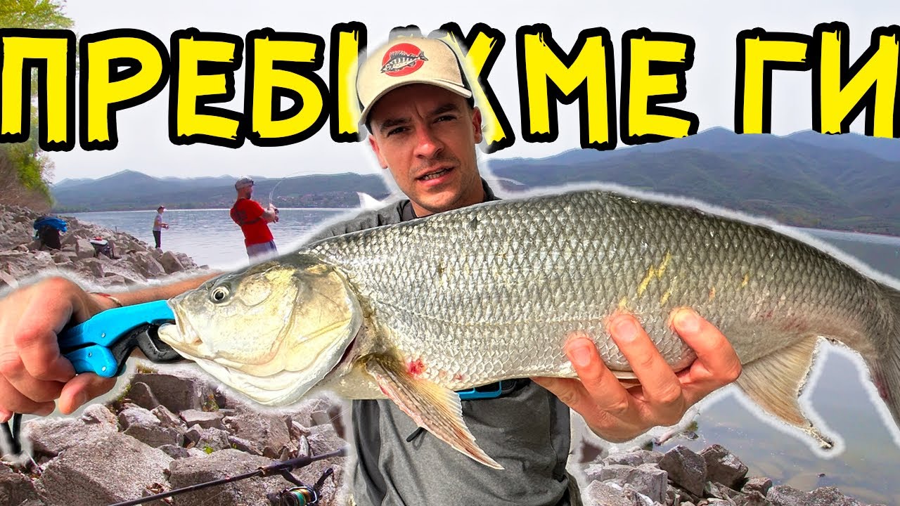 РАСПЕРИТЕ ГО ОТНЕСОХА !!! Риба след Риба ... !!!  #asp #fishing #greece