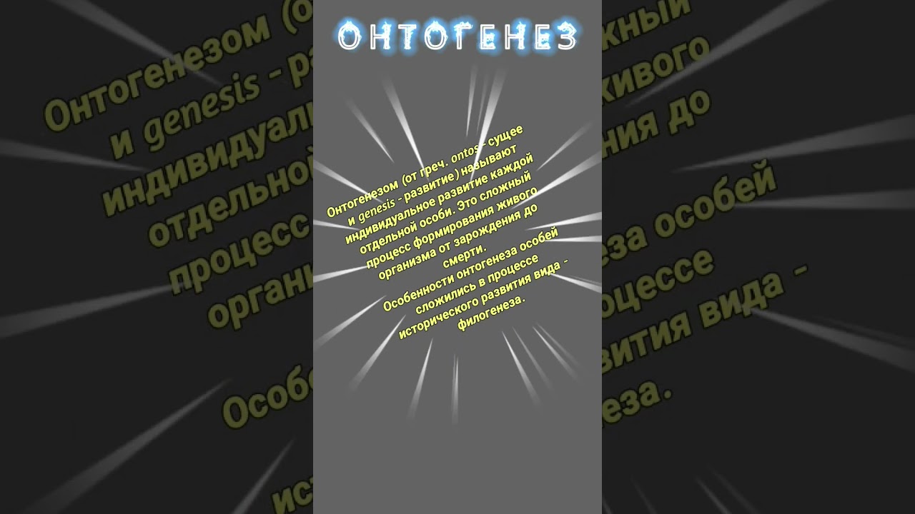 О Н Т О Г Е Н Е З  #онтогенез  &mdash; 17 декабря 2022 г.