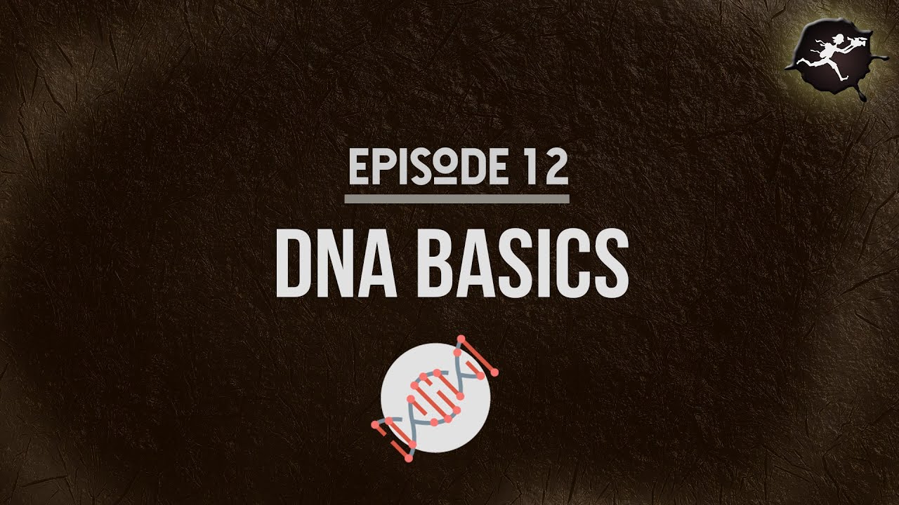 DNA BASICS: UntamedScience #12
