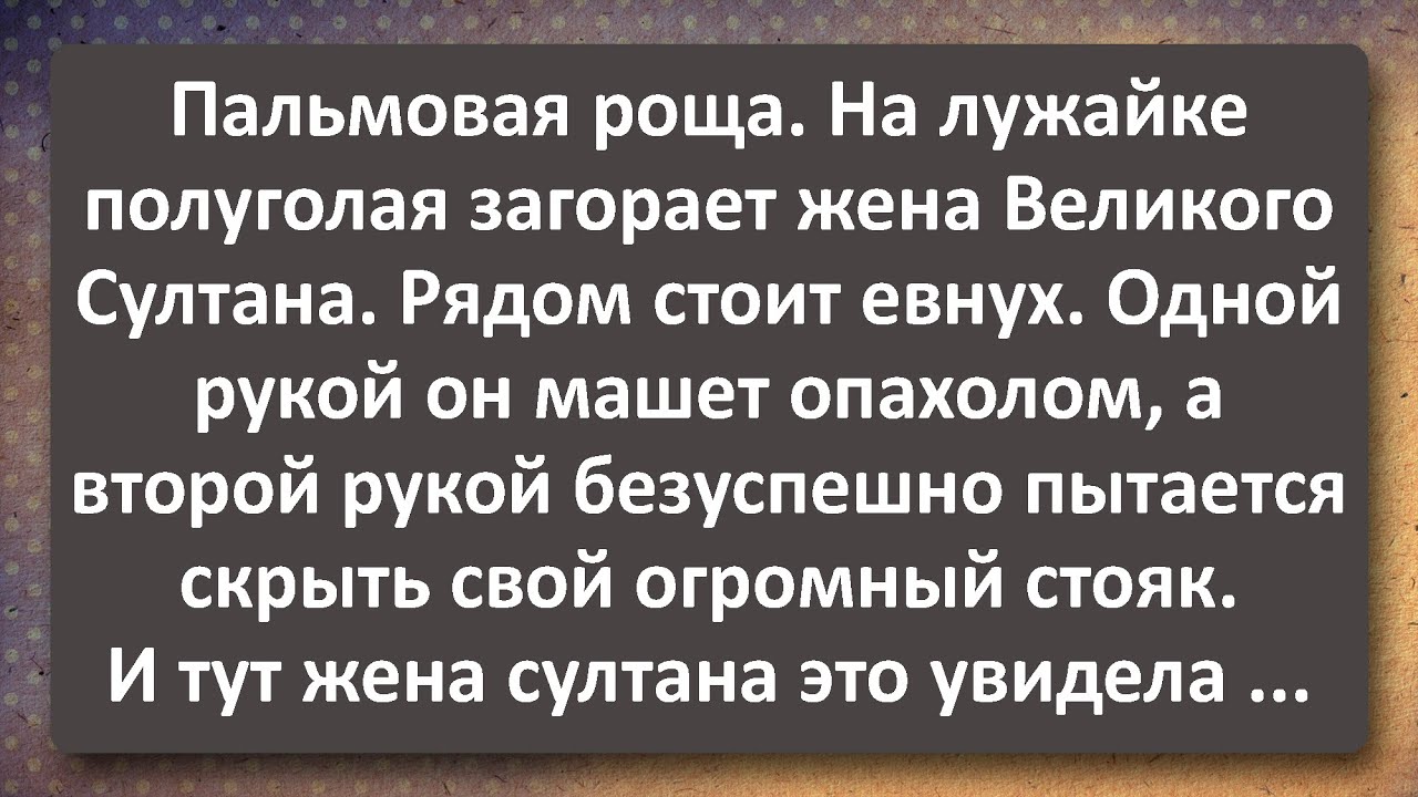 Жена Великого Евнуха! Лучшие Анекдоты Всех Времен!