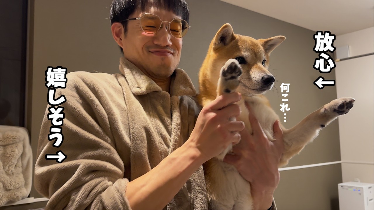 突然の出来事に心ここに在らずな愛犬が可愛いから見て
