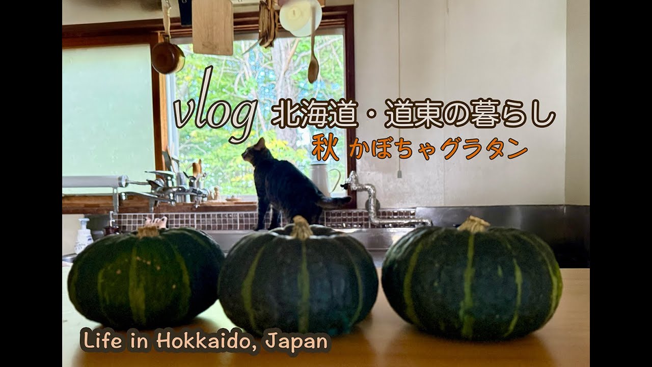秋 阿寒湖さんぽ / 簡単！美味しい！かぼちゃグラタン『vlog北海道・道東の暮らし』　Life in Hokkaido, Japan