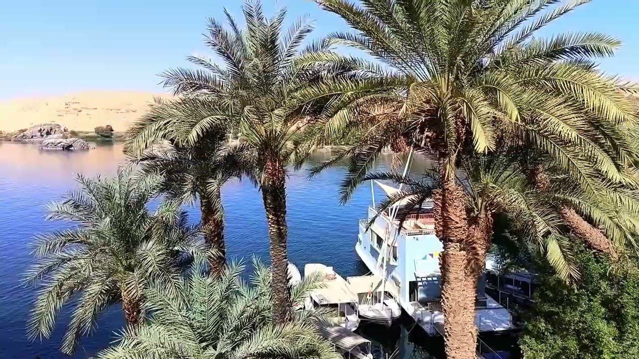 Réveil sur le Nil. Waking up on the Nile 
