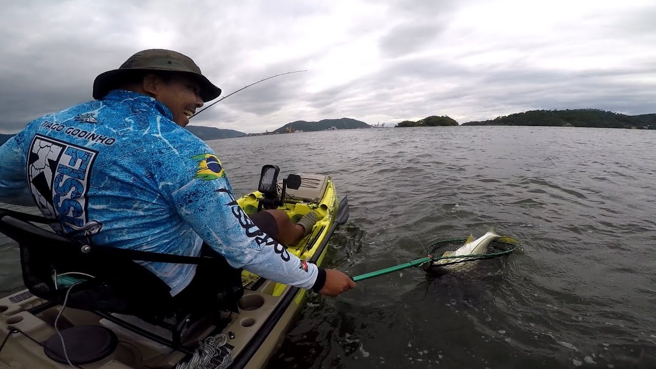 Pescaria de Robalo #pescaria #robalo #pescar