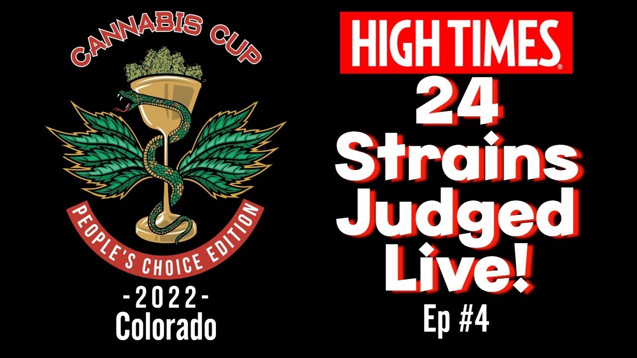 High Times Cannabis Cup 2022 Live Judging - Ep. #4
