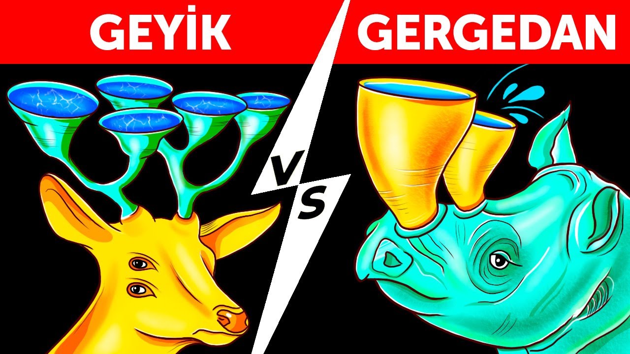 Dünyadaki Hayvanlar Bir Milyon Yıl Sonra Neye Benzeyecek?
