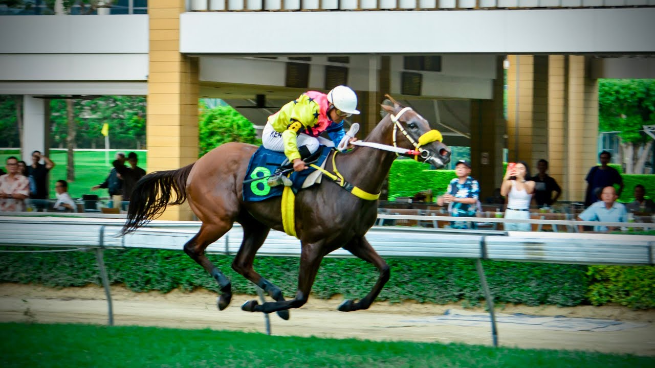 JAN CHAI wins The &ldquo;Khun Kriengkrai Praprutthikul&rdquo; Trophy (Country Bred Div. 4) - 18/08/2024 -Race 10