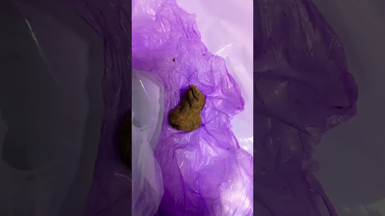 Hash of Rif