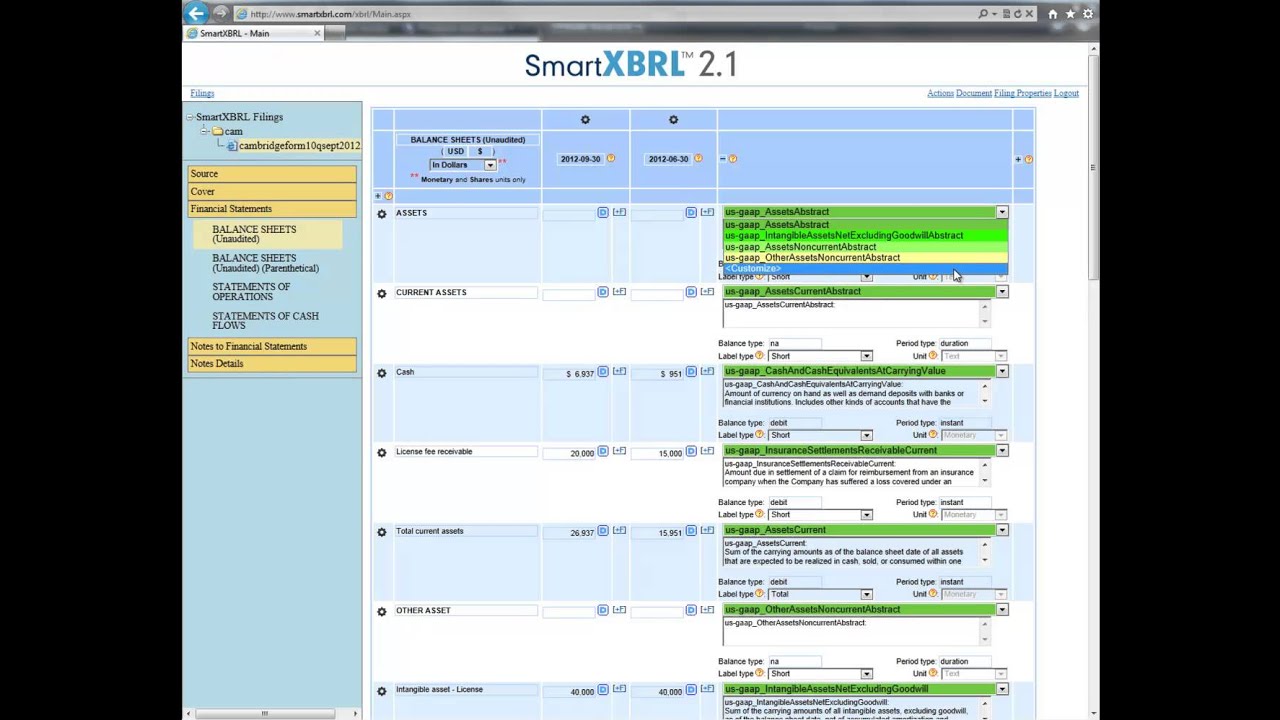2.1. Review and edit XBRL tags
