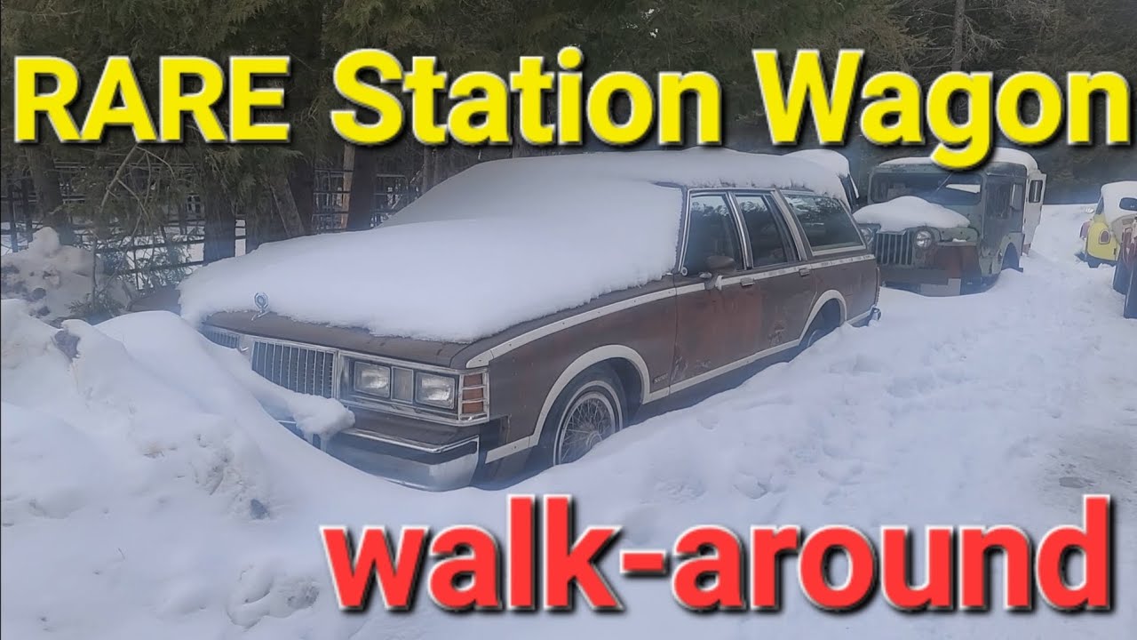 1981 Pontiac Bonneville Safari Station wagon walk-around and cleanup