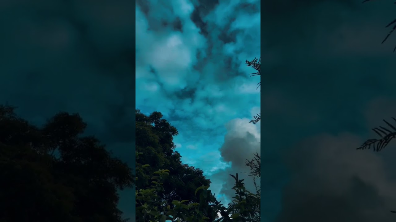 FEEL THE NATURE ❣️💫🎧 #nature #viral