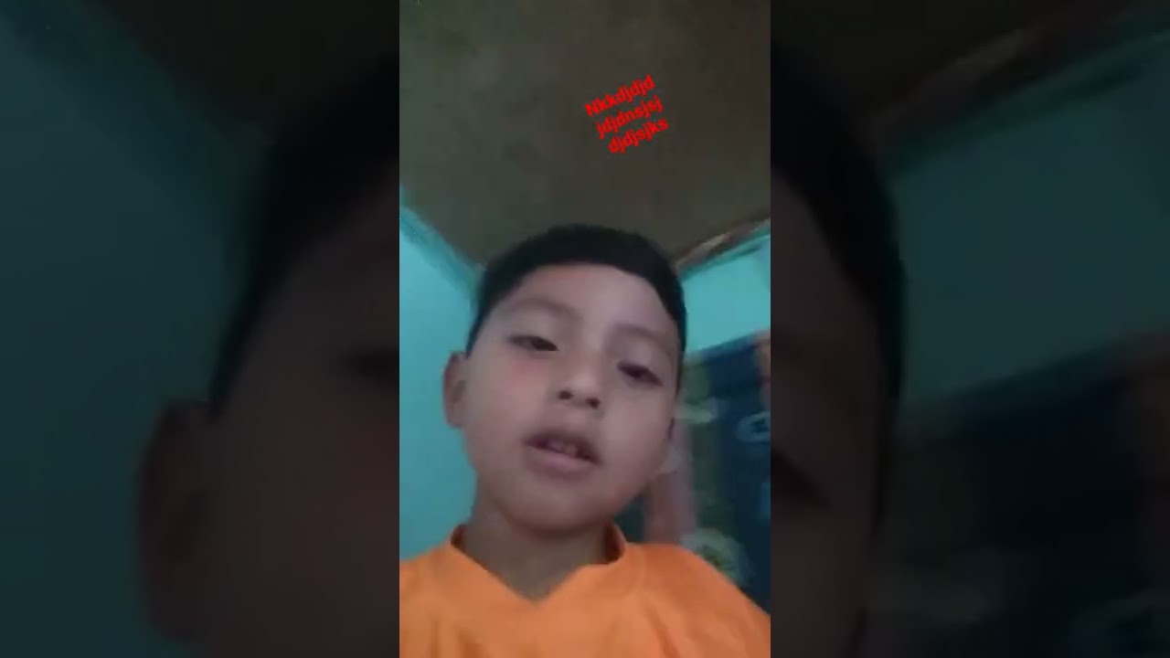 #wolfstudio