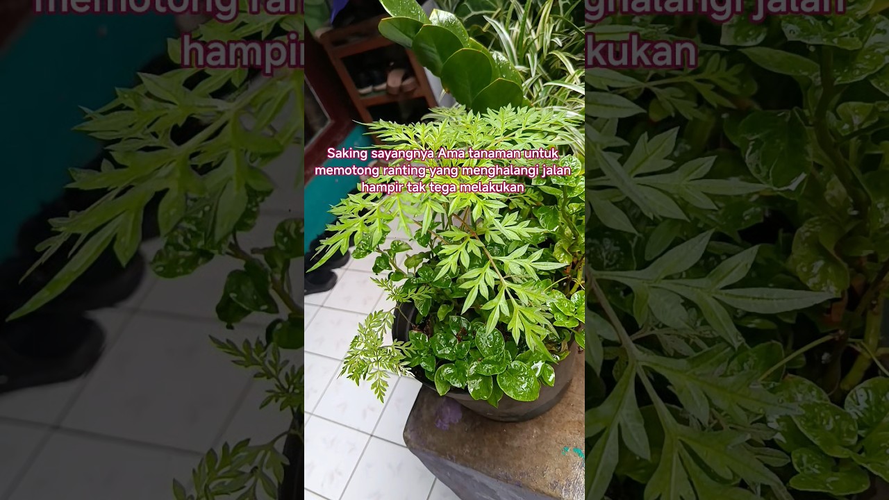 orang yang tidak menerima kebenaran akan merugi kelak di akhirat