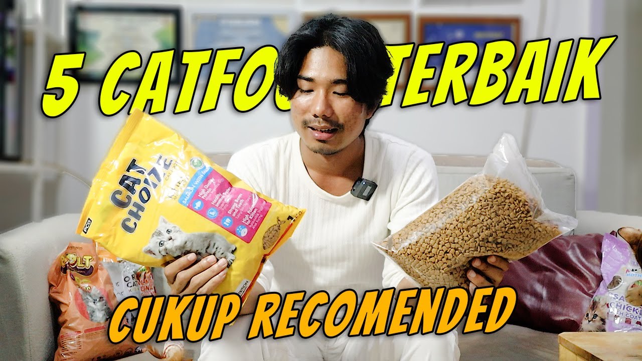 REKOMENDASI 5 CAT FOOD UNTUK KITTEN