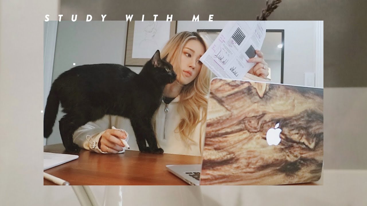 A Typical Study Session With Me Ft. Batman | 고양이 집사의 공부시간