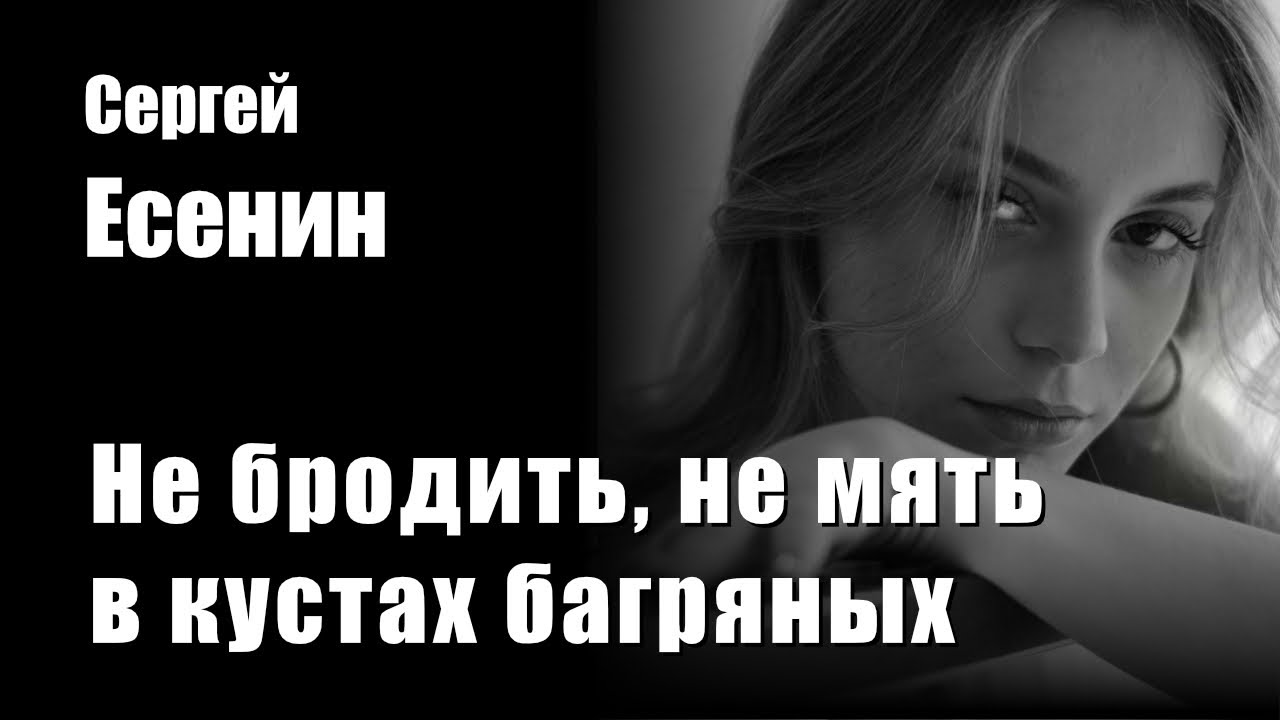 Сергей Есенин - Не бродить, не мять в кустах багряных - Композиция