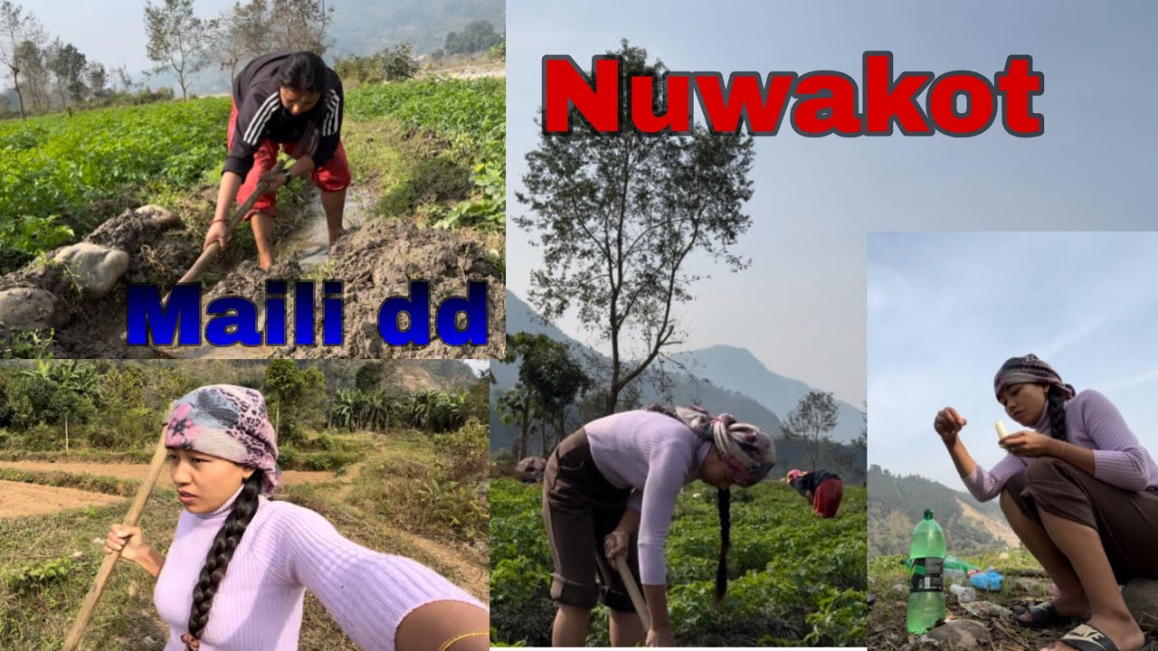 Aalu lai Anna didaie khola tarna garo vo 