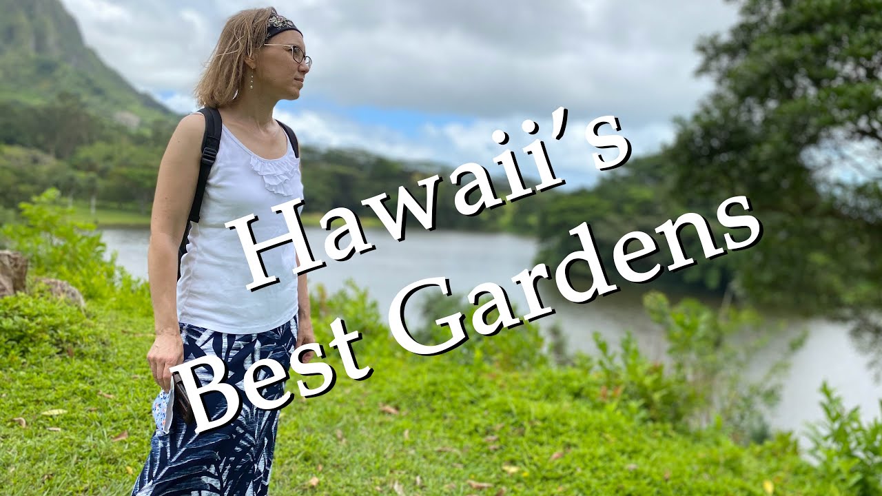 #garden #hawaii  Visit Hawaii's Foster Garden of Oahu!
