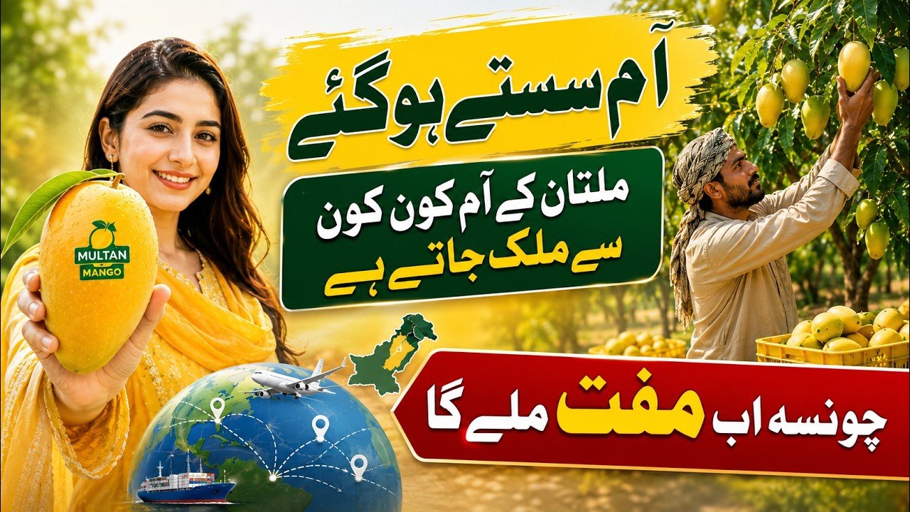 Why Multan Mangoes Are the World's Sweetest | The Secret Behind Pakistan's Famous Chaunsa Mango