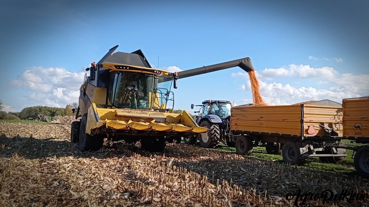 Kukurydza 2022 ☆ Nowy nabytek New Holland CX5.80 & New Holland T7.195S | NH T6080 ★Podkarpacie★