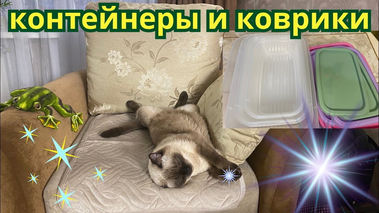 Купила набор контейнеров и коврики на кресло. Кот оценил коврики 🐱❤️.