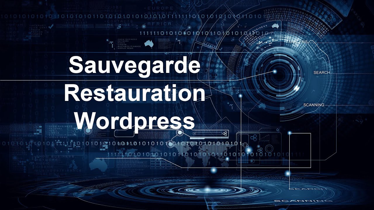 Comment faire une sauvegarde et restauration avec WPvivid - Wordpress