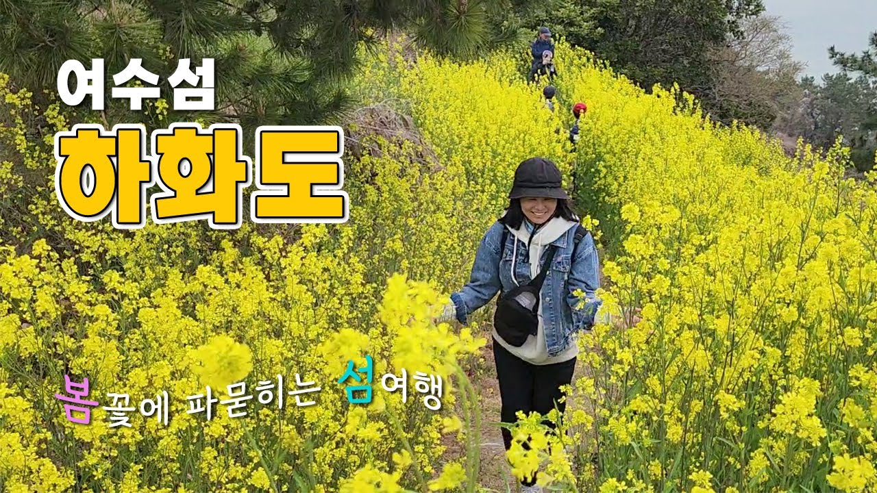 [여수섬 하화도] 해설사와 함께하는 여수 섬배울학교 꽃섬 하화도 섬둘레길 트레킹 여행 후기