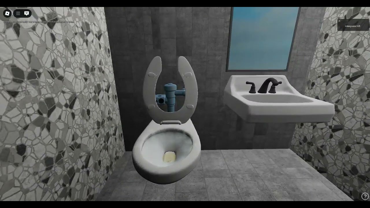 2025 brand new Zurn toilets at starbucks