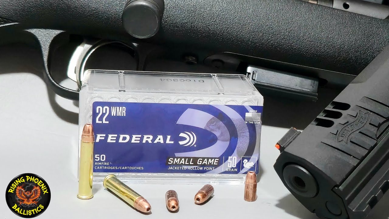 Walther WMP vs. Savage 93: Federal 50gr Magnum Rimfire Test