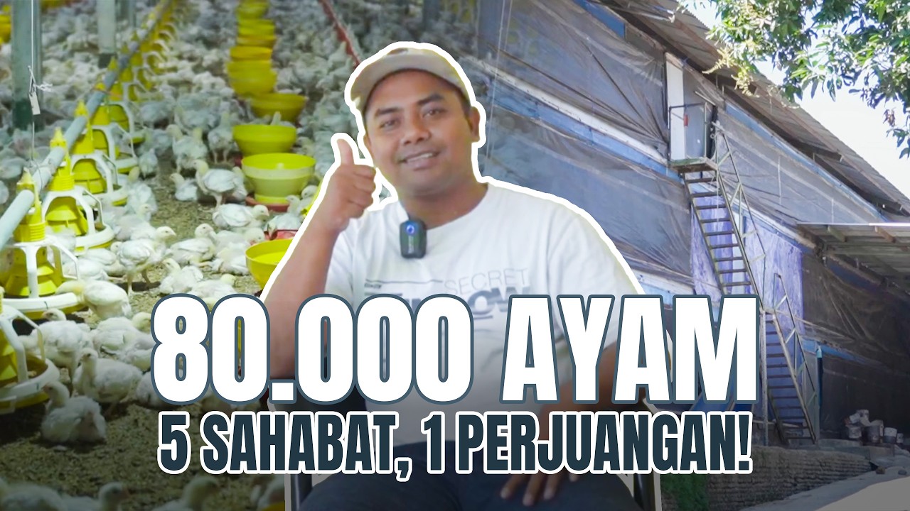 Kerja Sama 5 Orang Bangun 5 Kandang Ayam Broiler | FARMILY 25