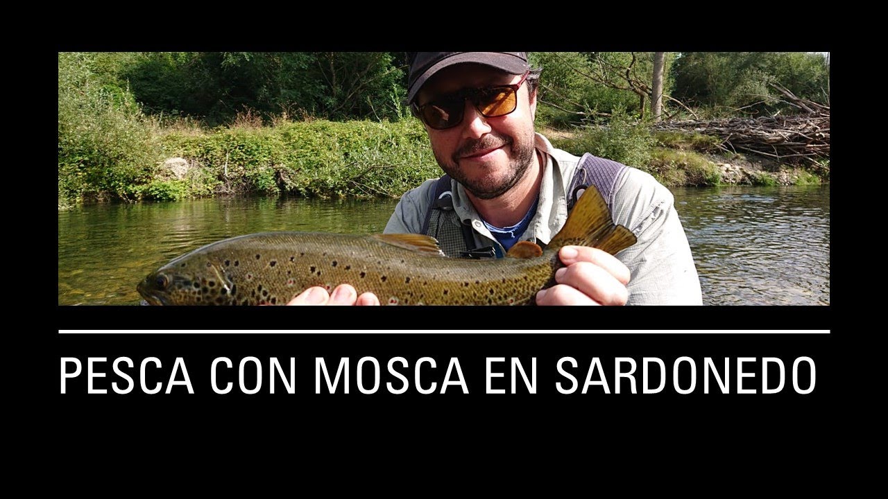 Pesca con Mosca en el Coto de Sardonedo // Pesca con Mosca León