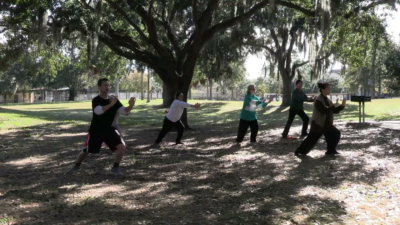 Tai Chi (Yang Style 24 Form) at Tai Chi Training and Practice with HanQing Tai Chi in Orlando, Fl.