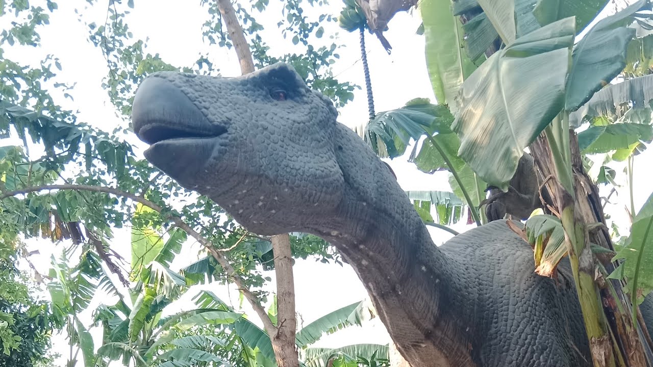 yipee land #Jurassic World #nepal turismo  #faimlyvlog #faimlytime#shortblog#forupage #subscribe