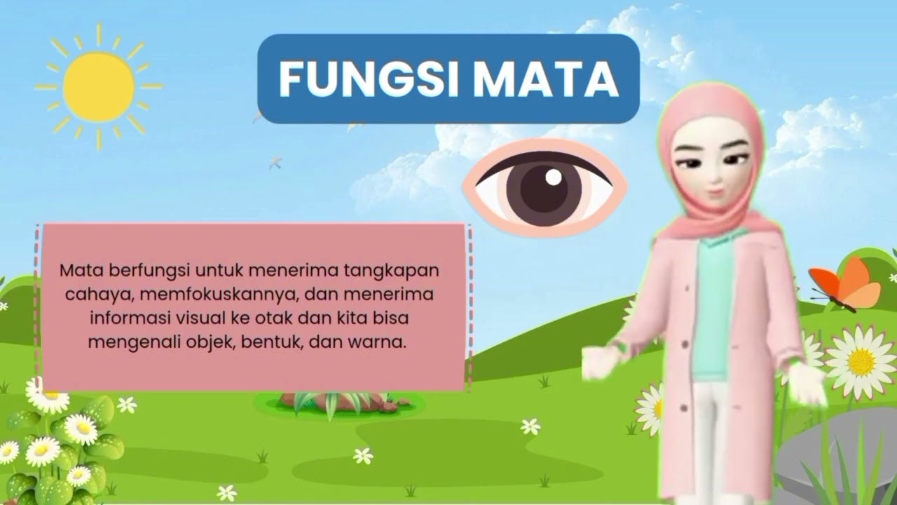 Video Animasi. Tentang anggota tubuh yang terlihat beserta fungsinya! By. Zahra Aulia