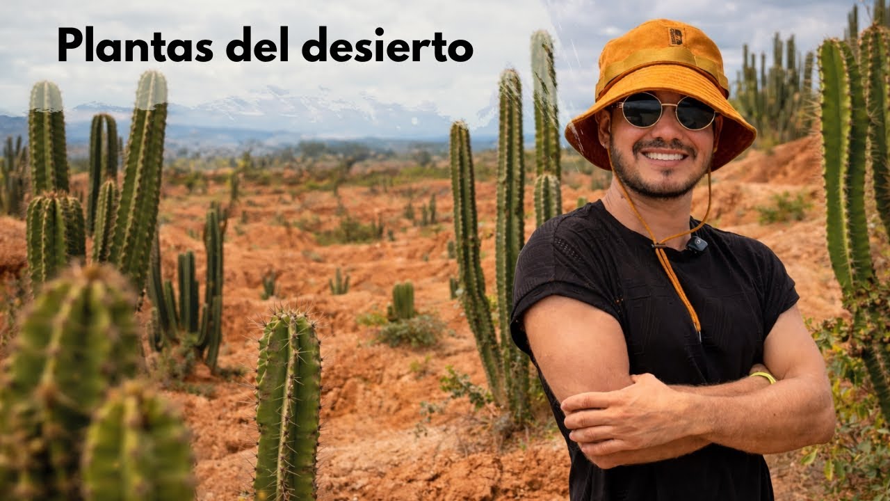 Visite al Desierto de la Tatacoa y NO CREERÁS LAS PLANTAS que sobreviven aquí 🌵