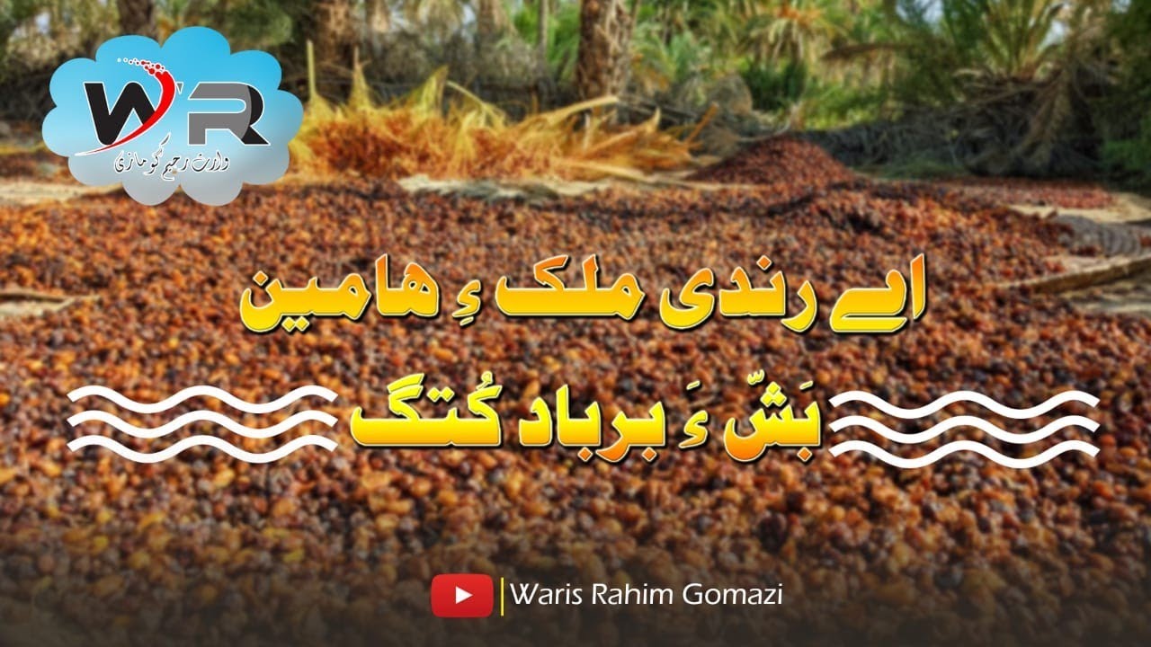 Ha RanDi Mulka Amen Basha Hora Karab Kota|🌴😭اے رندی ملکء ھامیں برباد کتگ