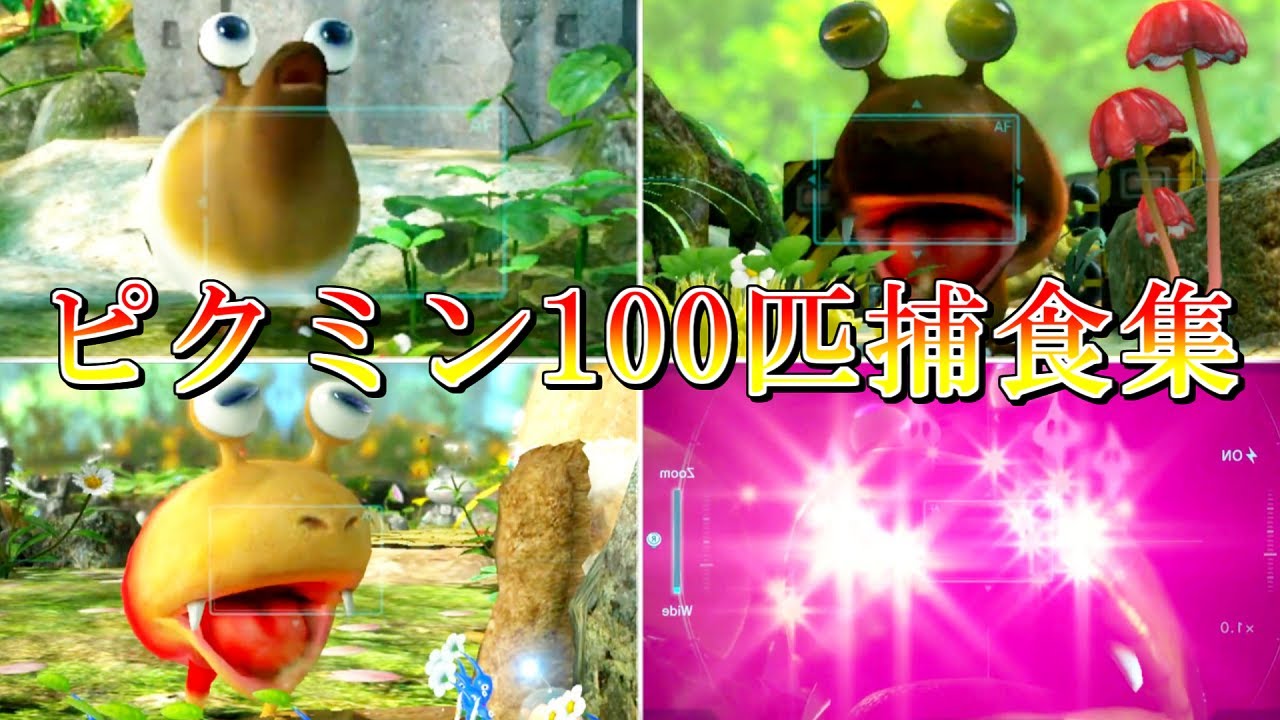 【ピクミン3】チャッピー達が美味しそうにピクミン100匹捕食する