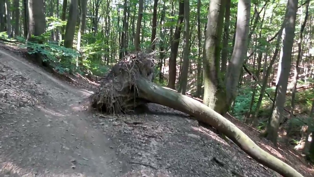 Schützengraben (Sieveringerstraße) INFOs unter Video